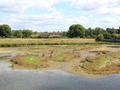 Small islands for birds at WWT London wetland centre