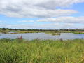 View from one of the hides at WWT London wetland centre