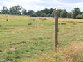 A fence similar to the one we are erecting at Oroklini Lake, at Hollesley marsh, RSPB