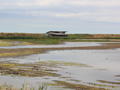 TItchwell marsh, RSPB