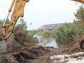Water management works - clearing the dense vegetation from the weir  (action C3), October '12