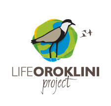 Oroklini Project